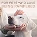 TropiClean SPA Lavish Dog Shampoo | Sporty Scented For Him Deodorizing Dog Shampoo | Naturally Derived Salon Grade Ingredients | Made in the USA | 16oz