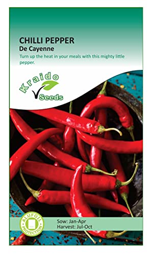 Chilli Spicy Hot Pepper Seeds Cayenne 50 Seeds Capsicum Annuum Grow Your Own Vegetable Ideal for Greenhouse or Garden Growing in Raised Beds Polytunnel Growbag or in Large Pots and Containers