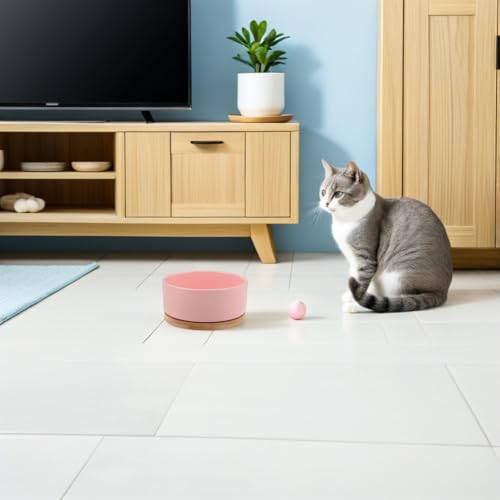 Gamelle chauffante chat alimentation USB céramique solide
