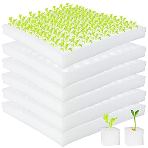 Tongnian 600 Pcs Hydroponic Sponges Soil-Less Cultivation Planting Gardening Tool Square Seedling Sponges for Small Bud Growth