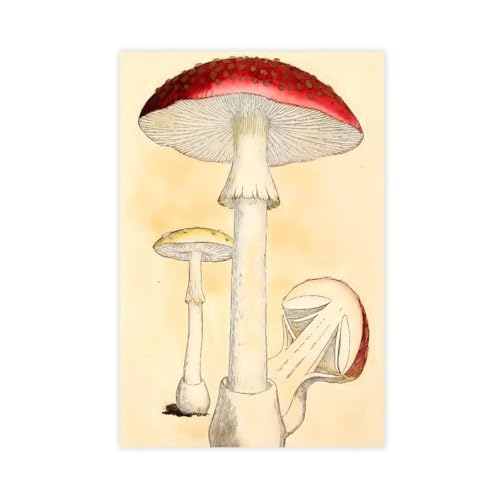 Peinture de mouche agarique sur toile pour réchauffer l'ambiance d'une chambre