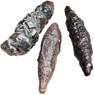 Authentic Natural Meteorite Stone 3pcs, 1-2cm Prophecy Stone sticks Natural Limonite, amazing Size, Rare Specimen, random choice