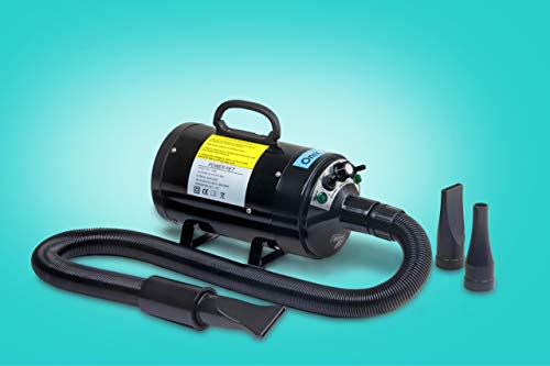 Secador e soprador 2 em 1 para cães e gatos 2400w 220v