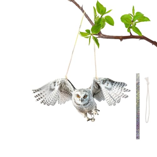 悯  ObY 悯 - ̓VGӂ낤uł炷┵ⒹA hhb΍ XY A{ т ObY co 񂹕t Ȃ ˑтƗAK[fA3 DʁA˒TXyVt