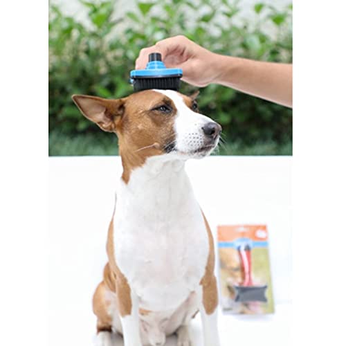 Escova Rasqueadeira para cachorro e gato Auto Limpante Vermelho Chalesco