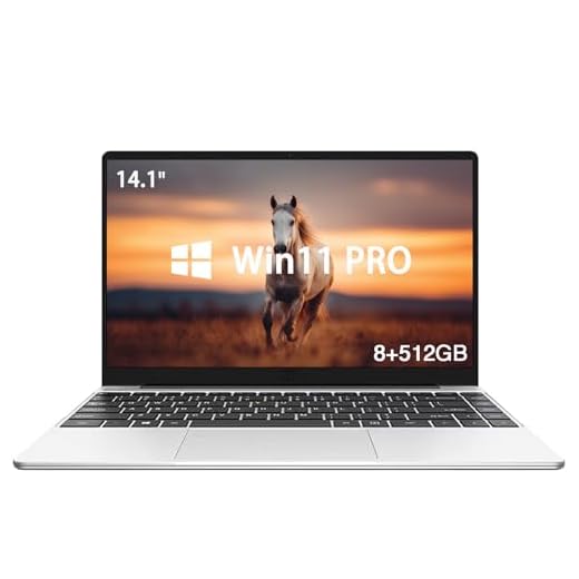 Kayoote Celeron N4000 Ordinateur portable Win 11 Pro de 14,1" pour étudiants et entreprises, ordinateurs portables 8 + 512 Go avec écran HD, Wi-Fi 5, BT pour le travail et l'école
