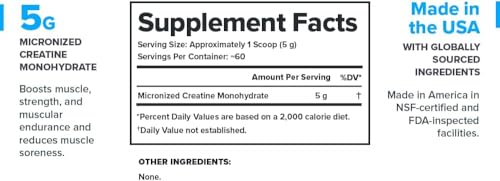 Image of LEGION Micronized Creatine Monohydrate Supplement - Clean Creatine Powder for Muscle Gain & Post Workout Recovery - Micronized Creatine Supplement for Maximum Absorption (60 Servings, Unflavored)