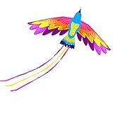 Einfach zu fliegen: Dieser fliegende Drachen ist einfach zu starten, er kann Ihrem Kind einen guten Grund geben, im Freien zu gehen, zu trainieren und die Hand-Augen-Linie Kontrolle und Koordination zu entwickeln.