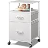DEVAISE 2 Drawer Fabric Vertical Filing Cabinet, Rolling Printer Stand, White