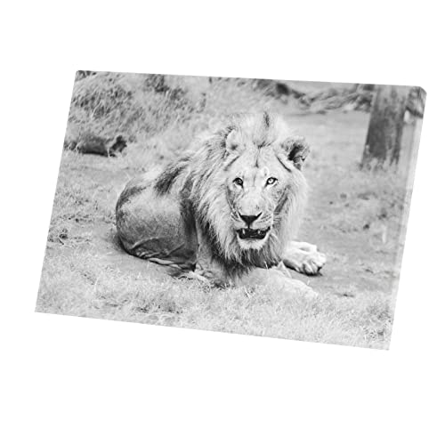 Tableau décoratif lion d'Afrique pour mur blanc 60x40cm