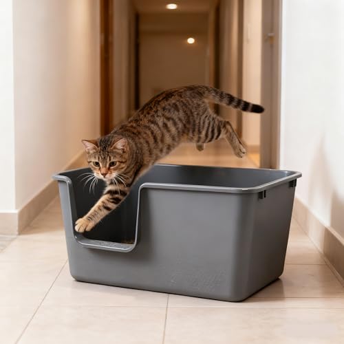 4-Pack Arenero Grande para Gatos con Lados Altos y Frente Bajo miniatura 6