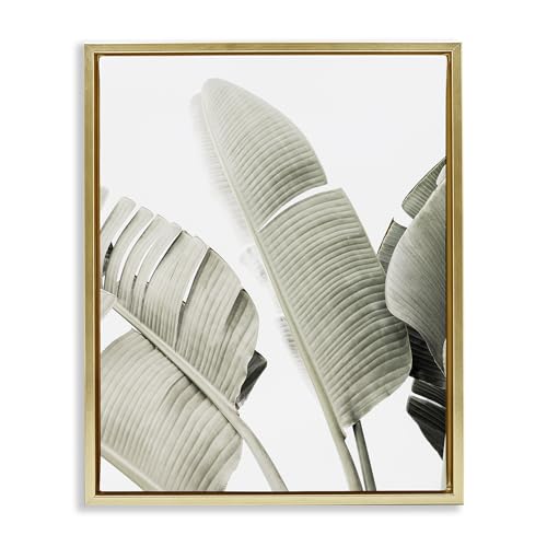 Muted Banana Leaves Botanical, 25 x 31 Inch Canvas in Floater Frame