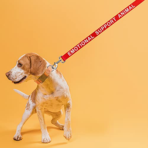 Dogline Red - Emotional Support Animal Nylon Leash Printed With Reflective Letters For Small Medium And Large Dogs Do Not Pet Esa Training Working W 5/8" X L 6 Ft #TOP5