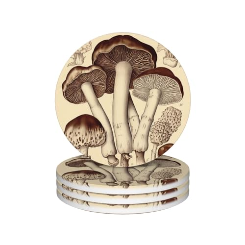 Dessous de verre champignons super absorbants en céramique pour table propre