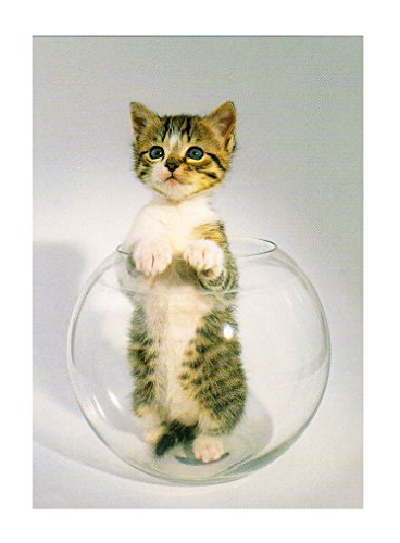 ART UNLIMITED ポストカード (猫×金魚鉢) C9936