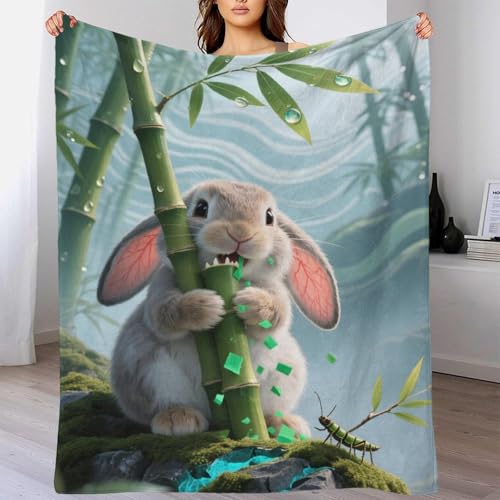 Couverture microfibre chaude plaid lit 127x152cm jeté de canapé imprimé 3D