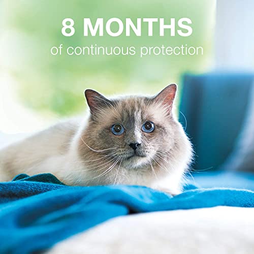 Bayer Seresto Flea And Tick Collar For Cat, All Weights, 2 Pack With Hs Pets Collapsible Pet Bowl #TOP5
