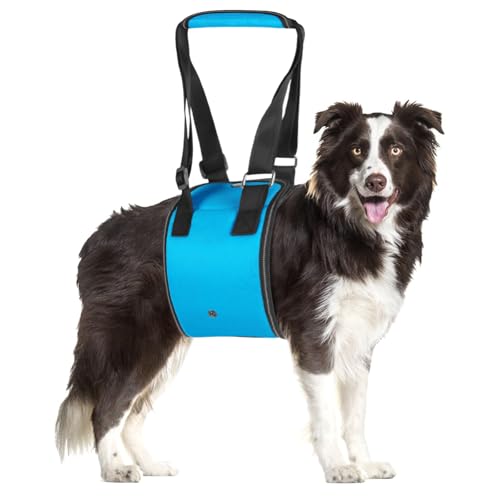 MHwan Tragehilfe Hund, Hundefreundliches blaues Design mit Verstellbarer tragegurt Hund, die behinderten und älteren Hunden beim Spazierengehen sicheren Halt bietet, treppenhilfe für Hunde (M)