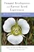 Prenatal Development and Parents' Lived Experiences: How Early Events Shape Our Psychophysiology and Relationships (Norton Series on Interpersonal Neurobiology)