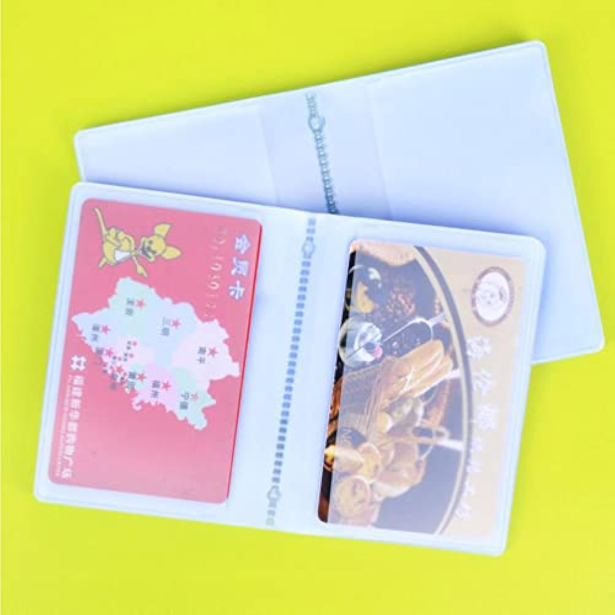 Plastic Wallet Insert Credit Card Holder, 10 Page