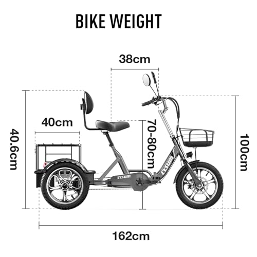 Elektrische driewieler, elektrisch voertuig met drie wielen, elektrische fiets voor goederentransport, geïntegreerde fiets van 16 x 2,3 inch, lithium-accu 48 V 22 Ah, weerstand 120 - 150 km - Afbeelding 4