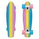 FISH SKATEBOARDS Skateboards Complete 22 Inch Mini Cruiser Retro Skateboard for Kids Boys Girls Youths Beginners, Assorted Styles