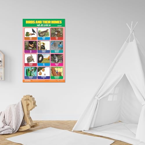 Image of ESCAPER Birds & Their Homes Educational Charts for Kids Learning, (11.5 x 17.5 inches), 300 GSM Paper Laminated, Self Adhesive Back Kids Study Material, Learning Chart, Educational Posters