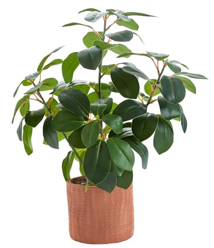 AlphaAcc 16.8'' Artificial Ficus Plant Indoor Real LookingFake Plant Faux Greenery with Thick Oval...