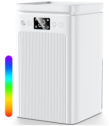 Deumidificatori per la casa, 2200 ml, deumidificatori per...