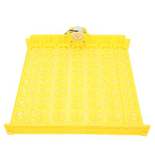 Yctze Retourneur d'œufs Automatique 56 œufs – Couveuse de Volaille en ABS, Incubateur Efficace – Incubateur d' Pratique et Automatique, Accessoire pour Faire éclore les de Poulet et de canard. (12V)