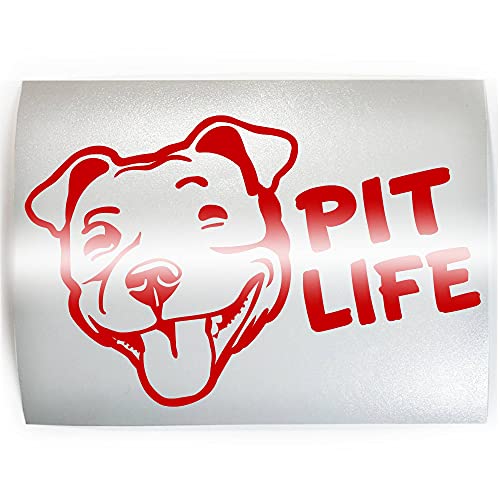 PIT LIFE Pit Bull Dog - PICK COLOR & SIZE