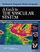 Workbook for Diagnostic Medical Sonography: A Guide to the Vascular System