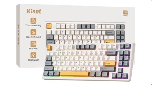 Kisnt KN85 Wireless Mechanical Keyboard, 75% Layout, Bluetooth/2.4GHz/USB-C, Custom RGB Backlit...