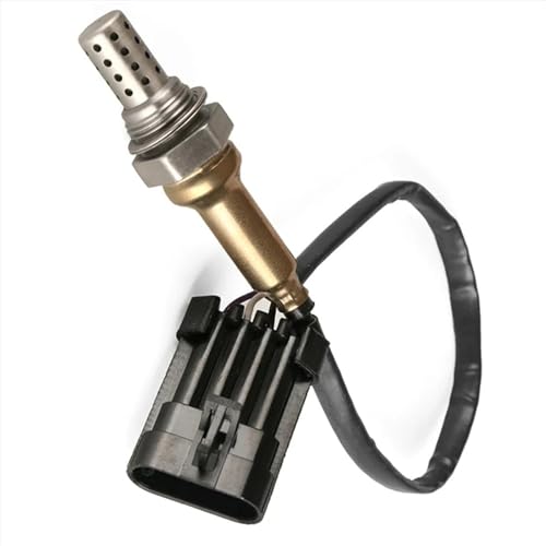 Sonde Oxygène O2 pour Quad CF Cforce Uforce Zforce UTV ATV 600 800 1000 - 2