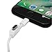 PortPlugs Dust Plugs - Aluminum Build with Holder & Cleaning Brush for iPhone 14-7, Plus, Max, Pro, iPad & Lightning Ports | Gun Metal (2 Pack)