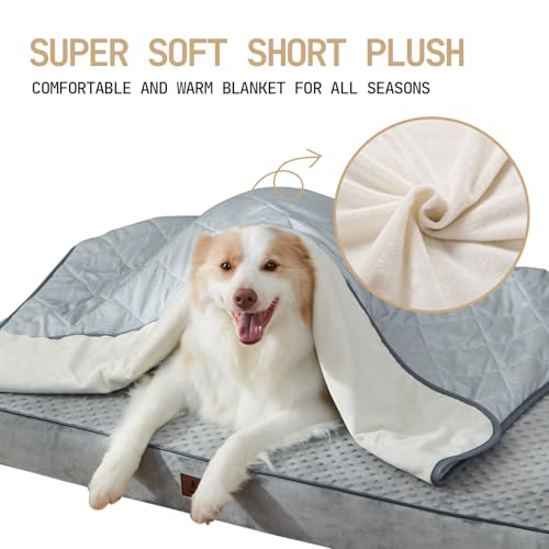 Snocyo Kühldecke für Hunde waschbar, Q-MAX0.4, wasserdichte Hundedecke 75×60cm, doppelseitige kühlende und plüschige Haustierdecke, kühlende Sofadecke für kleine Hunde