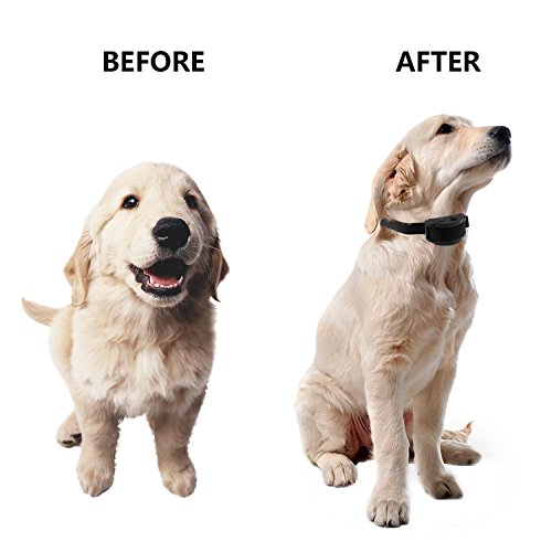 URXTRAL Collare da addestramento per Cani di