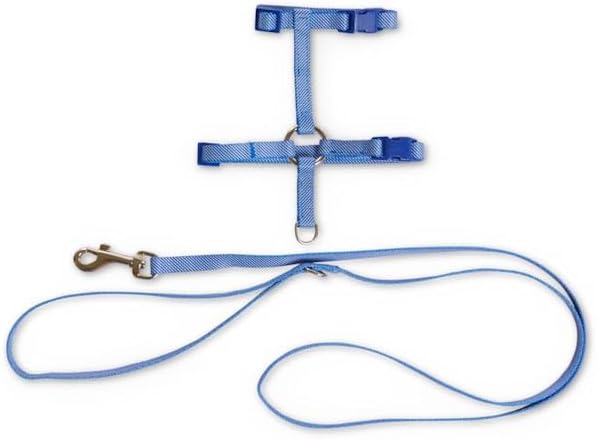 Bond & Co by Petco. Blue Seersucker for Style Kitten Harness & Leash Set