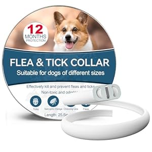 Collar Antiparasitario Perros, Seguro y Eficaz Collares Antiparasitos Perros, 12 Meses de Eficacia Collar Antipulgas Perro de 65 cm para Perro Pequeños, Medianos y Grandes