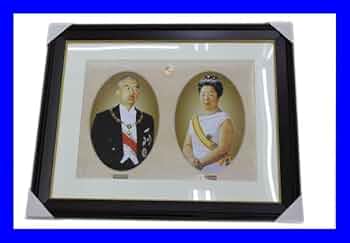 41r73IGV-bL._AC_UF350,