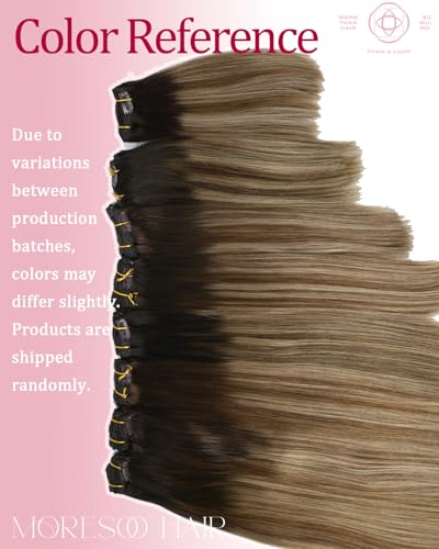 Image of Moresoo Clip in Hair Extensions Real Human Hair for Women Short Human Hair Clip in Extensions Balayage Brown to Blonde 10 Inch Different Batches