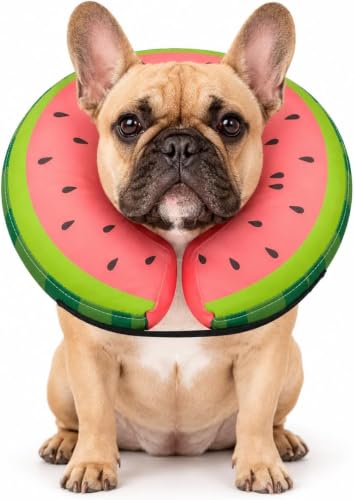Image of MIDOG Inflatable Dog Cone After Surgery, Donut Collar for Small Dogs, S