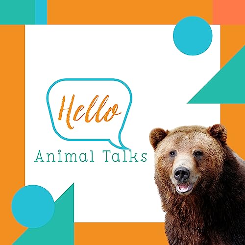 Hello Animal Talks copertina