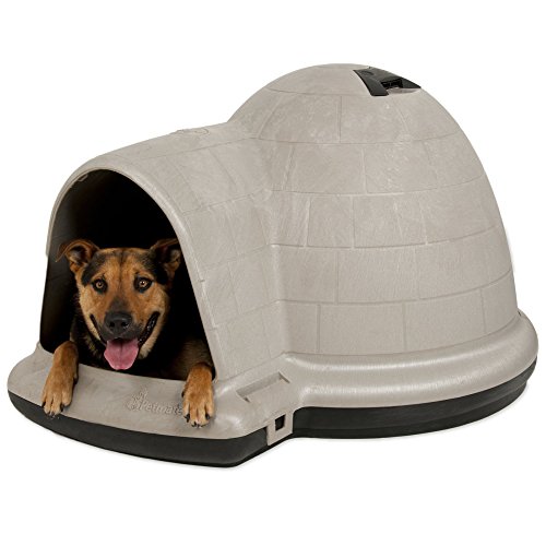 4 Best Husky Dog Houses of 2023 Dog Wish