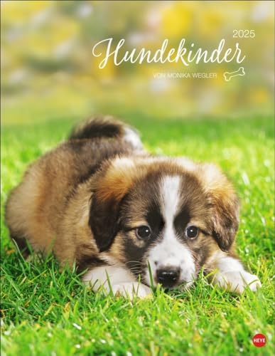 Calendario de póster para niños de perros 2025: por Monika Wegler. Fotos de cachorros para derretir en un calendario de pared. Calendario de póster con retratos de perros para todos los fans de las