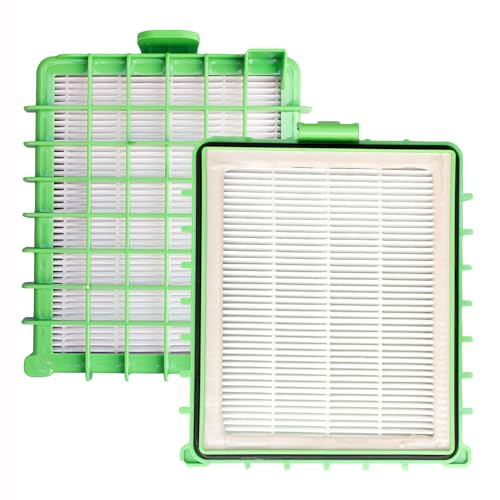 LRFDRESS Lot de 2 filtres HEPA RO5463 pour aspirateur Rowenta RO5463.11, RO4341.11 X-trem Power ECO