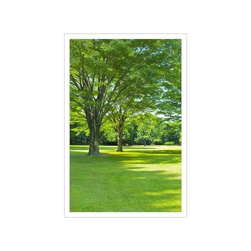 Image of Vastu Vardan Green Scenery Poster | Natural Paintings for Living Room | Size 13x 19 Inch Approx | Wall Scenery for Bedroom, Office, Home Decor | Painting Without Frame |