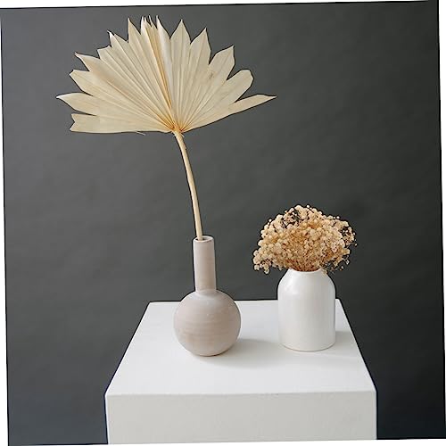 TEHAUX Ramillete 3pcs Flores Secas Ambientales miniatura 4