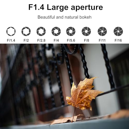 Viltrox AF 33mm F1.4 APS-C Lens for Sony E-Mount, Prime Lens for Sony E-Mount Camera A5100 A6100-A6700 ZV-E10 FX30 FX3 A7C A7II A7RII A7SIII A7III A7RIII A7IV A7RIV A7RV A9 A1 ZEV1 A7CR A7II