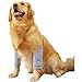 BWZYdy Dog Elbow Braces, Small, Medium, and Large Dog Shoulder Braces with mesh Pads, Dog Elbow Braces are Used to aid Wound Healing and Prevent Licking (Grey, 65-75 pounds)